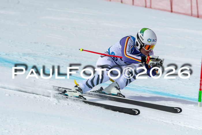 NC + NJC DH ,Frauen + Männer Axamer Lizum 25.03.2026