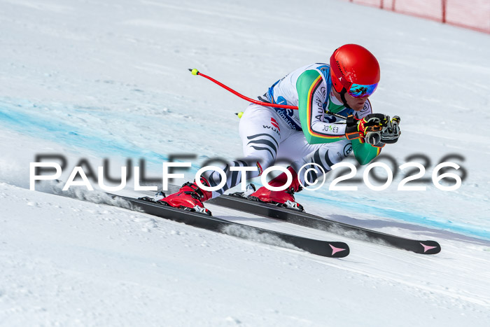 NC + NJC DH ,Frauen + Männer Axamer Lizum 25.03.2026