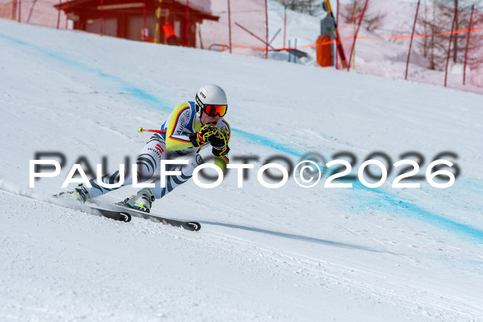 NC + NJC DH ,Frauen + Männer Axamer Lizum 25.03.2026