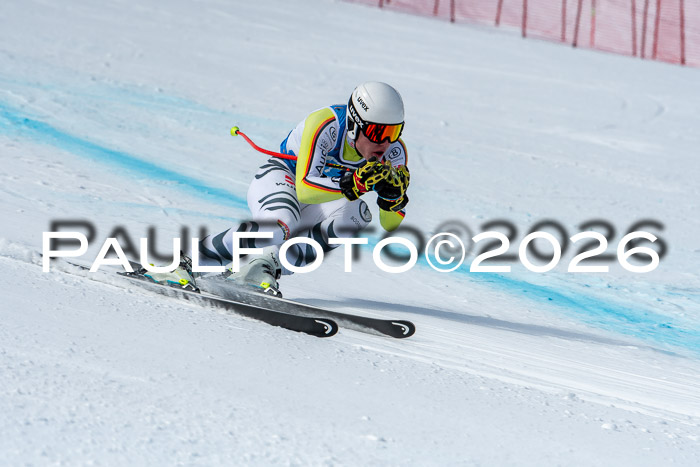 NC + NJC DH ,Frauen + Männer Axamer Lizum 25.03.2026