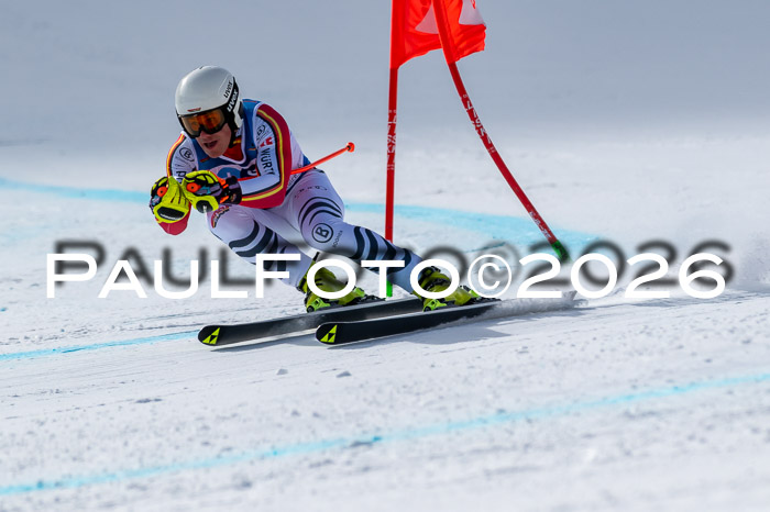 NC + NJC DH ,Frauen + Männer Axamer Lizum 25.03.2026