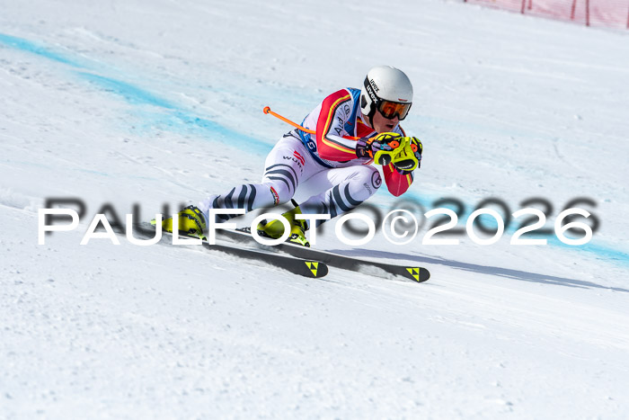 NC + NJC DH ,Frauen + Männer Axamer Lizum 25.03.2026