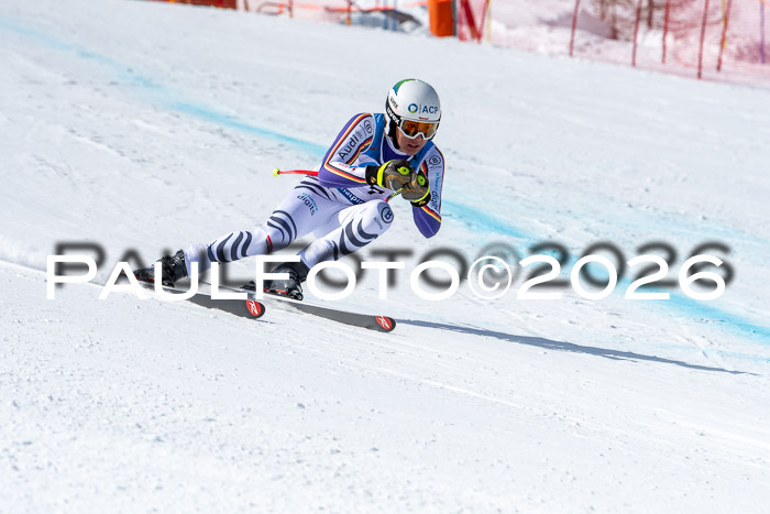 NC + NJC DH ,Frauen + Männer Axamer Lizum 25.03.2026