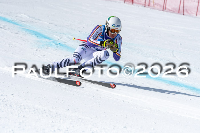 NC + NJC DH ,Frauen + Männer Axamer Lizum 25.03.2026