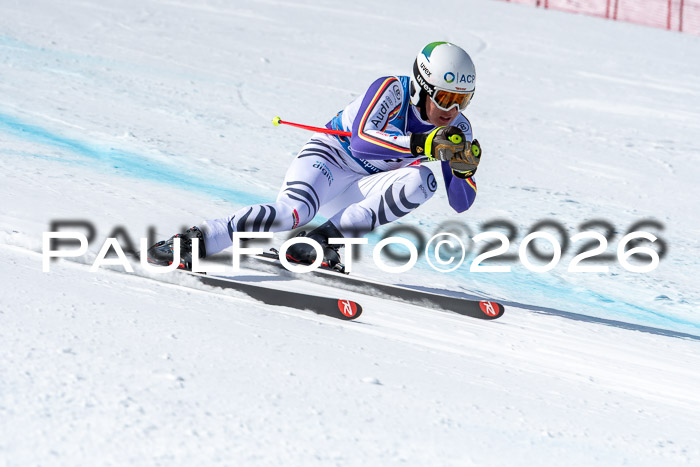 NC + NJC DH ,Frauen + Männer Axamer Lizum 25.03.2026