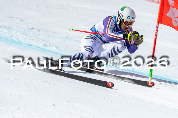 NC + NJC DH ,Frauen + Männer Axamer Lizum 25.03.2026