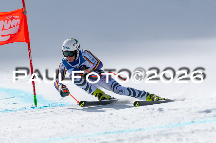 NC + NJC DH ,Frauen + Männer Axamer Lizum 25.03.2026