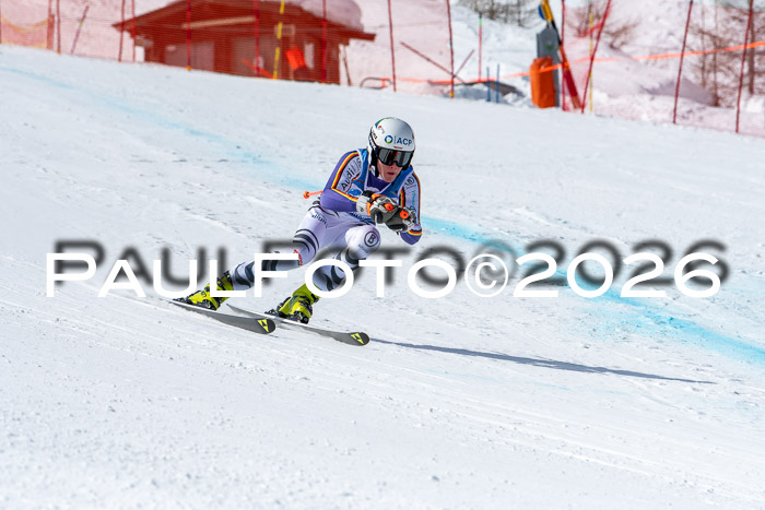 NC + NJC DH ,Frauen + Männer Axamer Lizum 25.03.2026