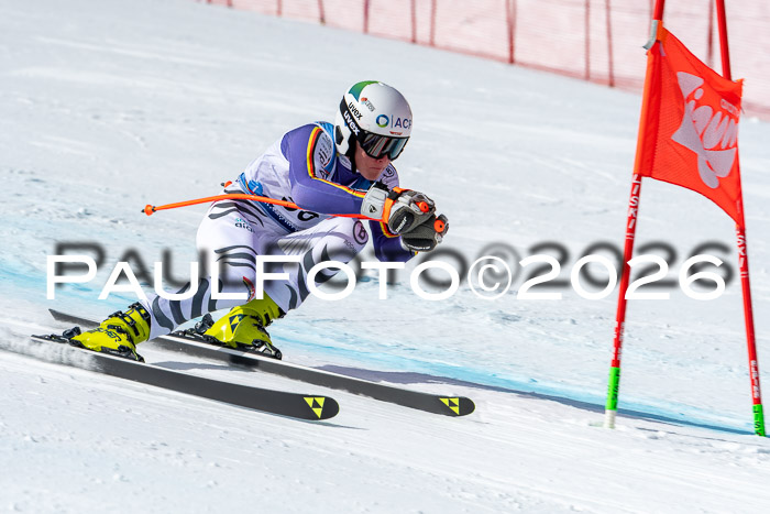 NC + NJC DH ,Frauen + Männer Axamer Lizum 25.03.2026