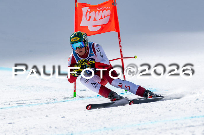 NC + NJC DH ,Frauen + Männer Axamer Lizum 25.03.2026