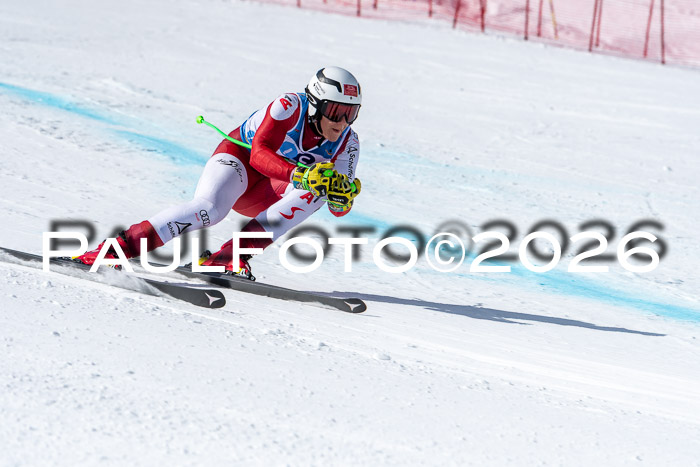 NC + NJC DH ,Frauen + Männer Axamer Lizum 25.03.2026