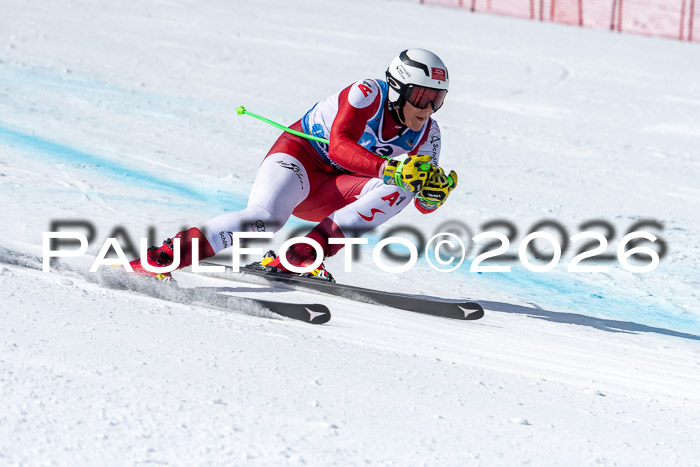 NC + NJC DH ,Frauen + Männer Axamer Lizum 25.03.2026