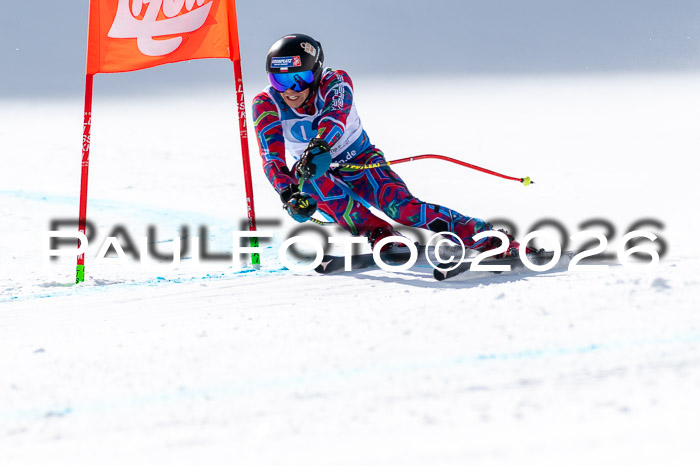 NC + NJC DH ,Frauen + Männer Axamer Lizum 25.03.2026