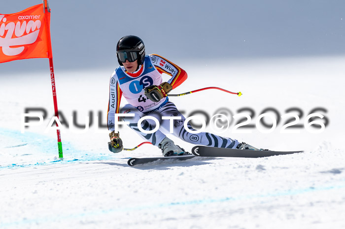 NC + NJC DH ,Frauen + Männer Axamer Lizum 25.03.2026