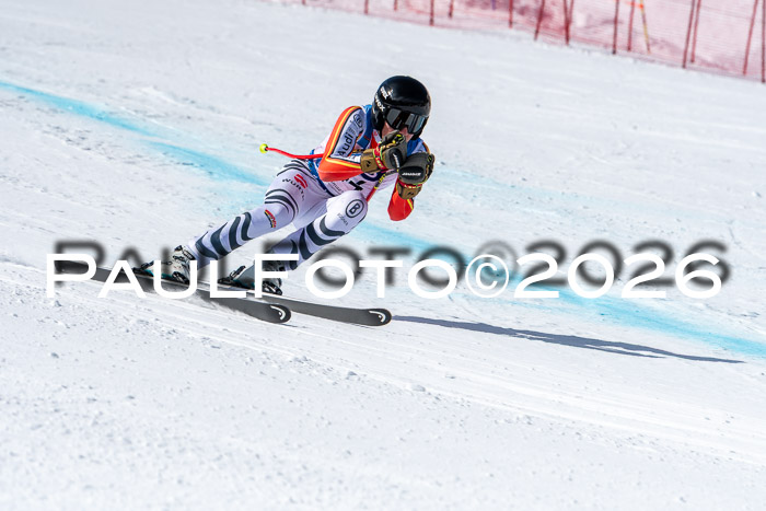 NC + NJC DH ,Frauen + Männer Axamer Lizum 25.03.2026