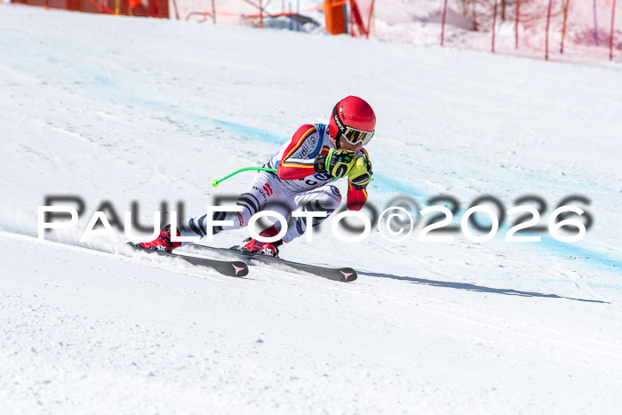 NC + NJC DH ,Frauen + Männer Axamer Lizum 25.03.2026