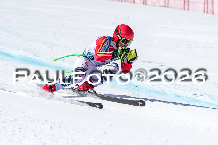 NC + NJC DH ,Frauen + Männer Axamer Lizum 25.03.2026