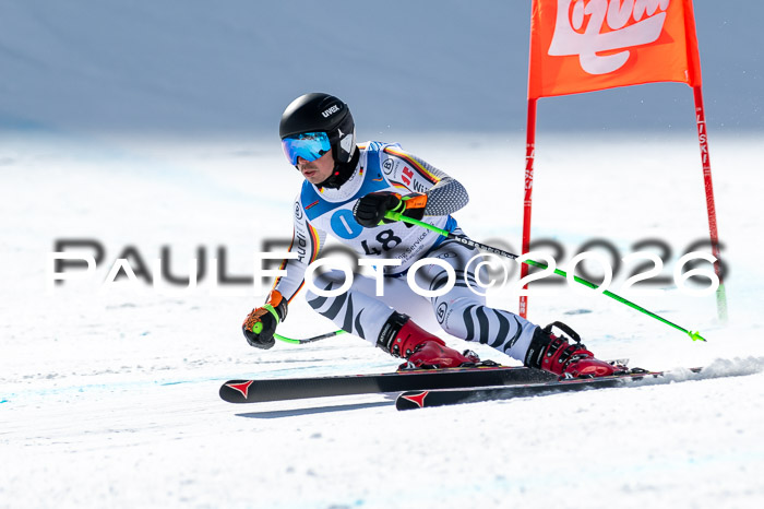 NC + NJC DH ,Frauen + Männer Axamer Lizum 25.03.2026