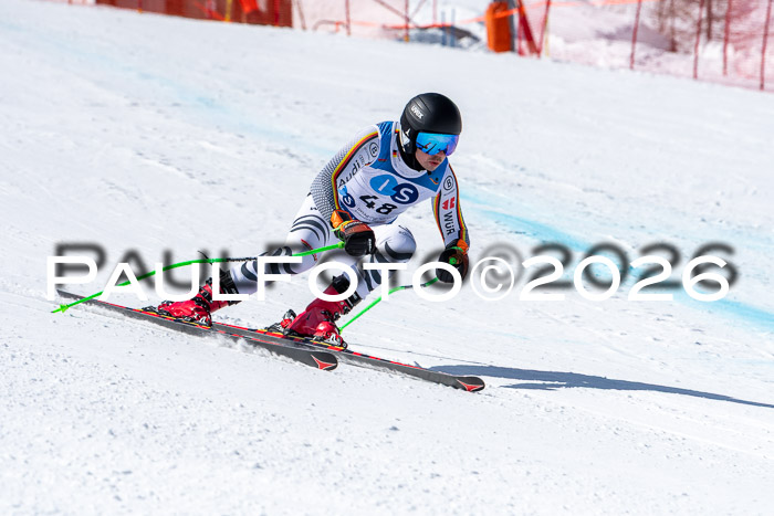 NC + NJC DH ,Frauen + Männer Axamer Lizum 25.03.2026