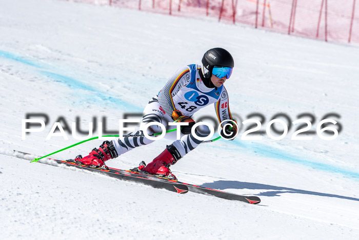 NC + NJC DH ,Frauen + Männer Axamer Lizum 25.03.2026