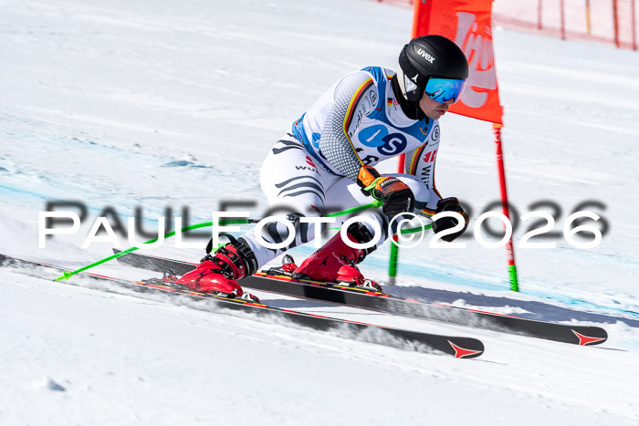 NC + NJC DH ,Frauen + Männer Axamer Lizum 25.03.2026