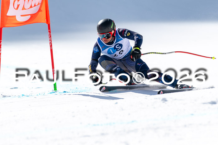 NC + NJC DH ,Frauen + Männer Axamer Lizum 25.03.2026