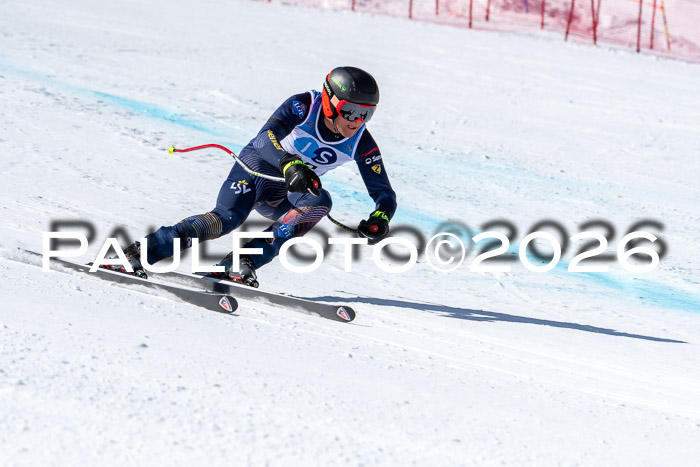 NC + NJC DH ,Frauen + Männer Axamer Lizum 25.03.2026