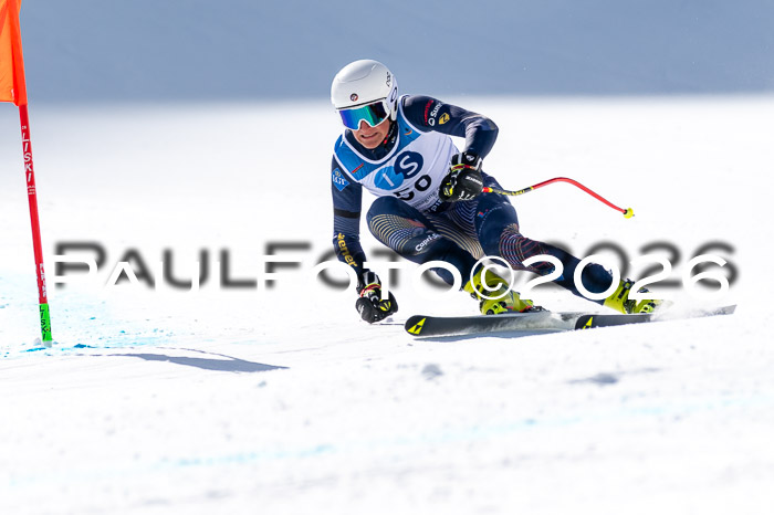 NC + NJC DH ,Frauen + Männer Axamer Lizum 25.03.2026