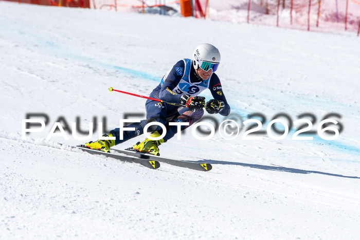 NC + NJC DH ,Frauen + Männer Axamer Lizum 25.03.2026