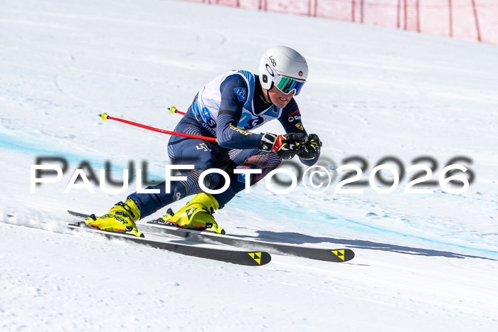 NC + NJC DH ,Frauen + Männer Axamer Lizum 25.03.2026