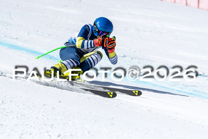 NC + NJC DH ,Frauen + Männer Axamer Lizum 25.03.2026