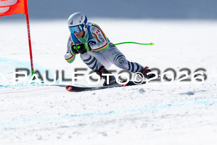 NC + NJC DH ,Frauen + Männer Axamer Lizum 25.03.2026