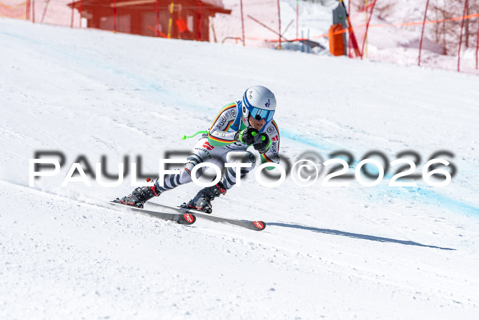 NC + NJC DH ,Frauen + Männer Axamer Lizum 25.03.2026