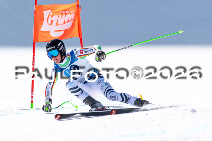 NC + NJC DH ,Frauen + Männer Axamer Lizum 25.03.2026