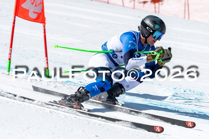 NC + NJC DH ,Frauen + Männer Axamer Lizum 25.03.2026