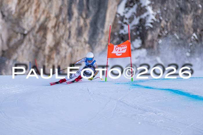 NC + NJC DH ,Frauen + Männer Axamer Lizum 25.03.2026