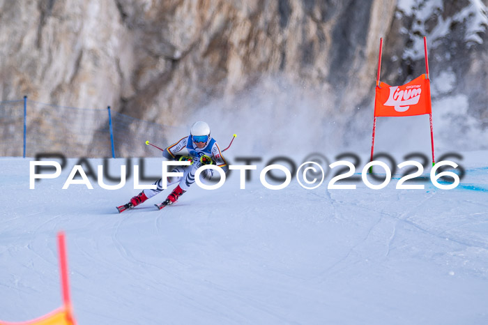 NC + NJC DH ,Frauen + Männer Axamer Lizum 25.03.2026