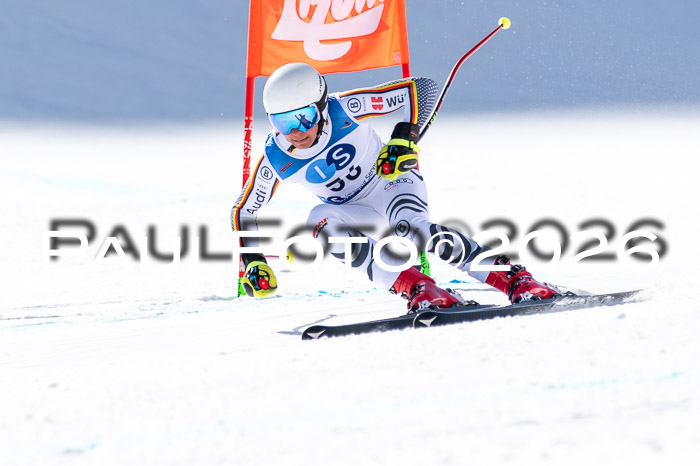 NC + NJC DH ,Frauen + Männer Axamer Lizum 25.03.2026