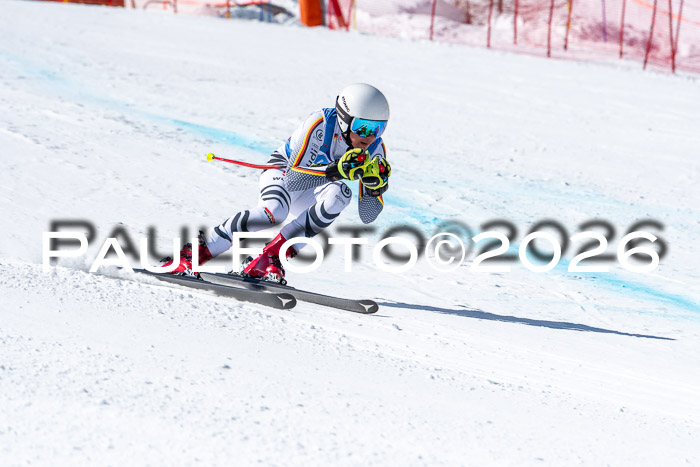 NC + NJC DH ,Frauen + Männer Axamer Lizum 25.03.2026