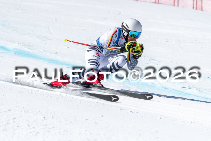 NC + NJC DH ,Frauen + Männer Axamer Lizum 25.03.2026