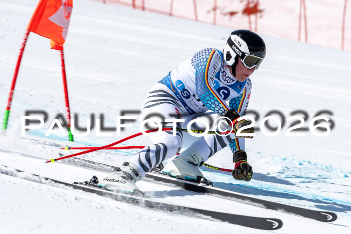 NC + NJC DH ,Frauen + Männer Axamer Lizum 25.03.2026