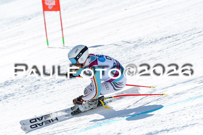 NC RS ,Frauen + Männer Axamer Lizum 28.03.2026