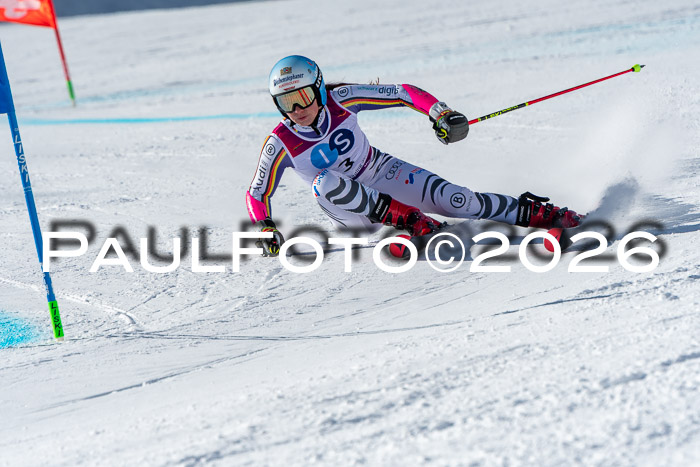 NC RS ,Frauen + Männer Axamer Lizum 28.03.2026