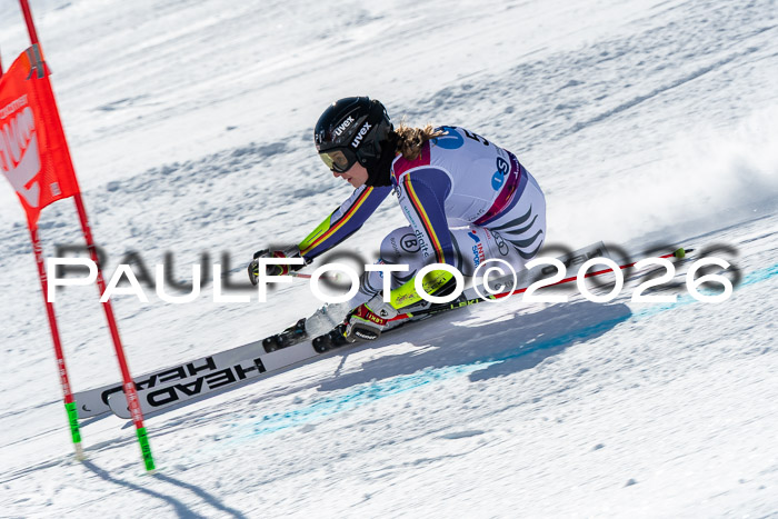 NC RS ,Frauen + Männer Axamer Lizum 28.03.2026