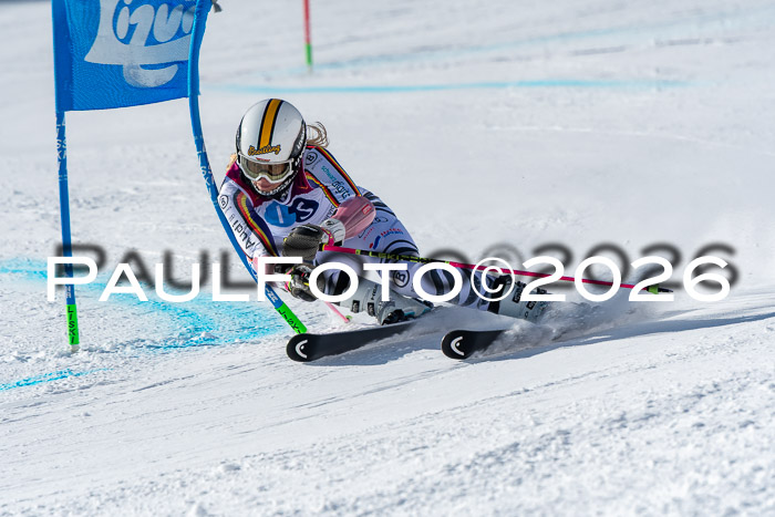 NC RS ,Frauen + Männer Axamer Lizum 28.03.2026