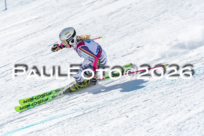 NC RS ,Frauen + Männer Axamer Lizum 28.03.2026