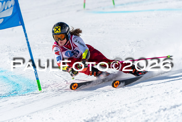 NC RS ,Frauen + Männer Axamer Lizum 28.03.2026