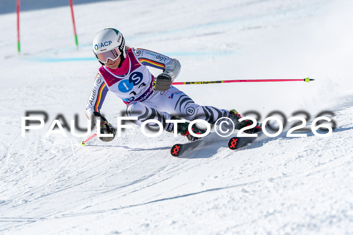 NC RS ,Frauen + Männer Axamer Lizum 28.03.2026