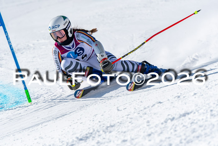 NC RS ,Frauen + Männer Axamer Lizum 28.03.2026