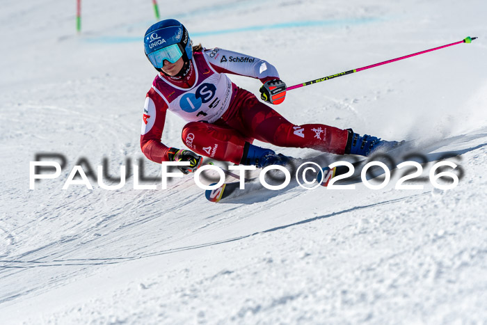 NC RS ,Frauen + Männer Axamer Lizum 28.03.2026